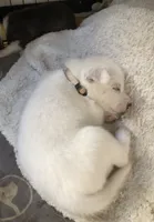 processed/0fbb5d15-94df-4812-a788-8613dd76fec6/listing/cee13475-b5fc-4616-b59e-db4f3f23e488/76f1f29b-19f2-40c5-8d0c-98d56b171d20