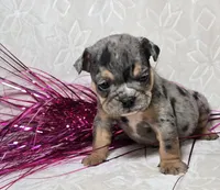 processed/0fc0824f-b8ad-49a4-9390-b37cbbfe9e71/listing/05aec106-b79c-4cf2-a1e4-d787b798a29f/0bf402fe-ae70-4849-a22b-a35031dfb1f5