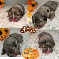 processed/0fc0824f-b8ad-49a4-9390-b37cbbfe9e71/listing/05aec106-b79c-4cf2-a1e4-d787b798a29f/6b13a9f9-7d43-411b-86f9-a344506c36f9