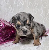 processed/0fc0824f-b8ad-49a4-9390-b37cbbfe9e71/listing/05aec106-b79c-4cf2-a1e4-d787b798a29f/7f99be20-05f8-46e9-9b75-deaafe01ab75