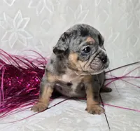 processed/0fc0824f-b8ad-49a4-9390-b37cbbfe9e71/listing/05aec106-b79c-4cf2-a1e4-d787b798a29f/b2d73d3d-8702-48c4-a8ad-9932bdd41d67