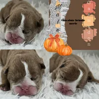 processed/0fc0824f-b8ad-49a4-9390-b37cbbfe9e71/listing/7489b21d-2d0e-491f-bd20-aee59656a684/4dcdb32b-417f-4d6b-903f-85218da53b74