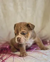 processed/0fc0824f-b8ad-49a4-9390-b37cbbfe9e71/listing/7489b21d-2d0e-491f-bd20-aee59656a684/5ec67359-80cc-477b-b41e-cfd1ce47caa1