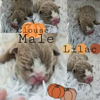 processed/0fc0824f-b8ad-49a4-9390-b37cbbfe9e71/listing/97c57781-fee5-4f83-8590-4aa1c02c1984/6391fcad-13f9-46b6-a25b-789531ddff08