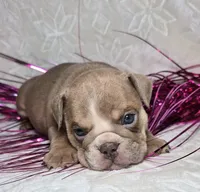 processed/0fc0824f-b8ad-49a4-9390-b37cbbfe9e71/listing/97c57781-fee5-4f83-8590-4aa1c02c1984/6a0e3cad-17a0-4376-9b2e-51f9b97d8c2d