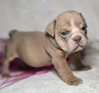 processed/0fc0824f-b8ad-49a4-9390-b37cbbfe9e71/listing/97c57781-fee5-4f83-8590-4aa1c02c1984/a31f5ebf-4058-4a41-b8ea-c378c45c05ba