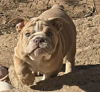 processed/0fc0824f-b8ad-49a4-9390-b37cbbfe9e71/listing/97c57781-fee5-4f83-8590-4aa1c02c1984/c1973f7e-b8e9-4c97-b3b7-07a94bdafd53