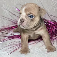 processed/0fc0824f-b8ad-49a4-9390-b37cbbfe9e71/listing/97c57781-fee5-4f83-8590-4aa1c02c1984/fb9818ce-f113-4988-a01c-2eb3315af49c