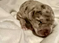 processed/0fc0824f-b8ad-49a4-9390-b37cbbfe9e71/listing/9ff2f0de-dcf6-4e8c-b1e9-6cee0dc55fdd/87c45a58-818a-44bd-89d7-982857aefcfc