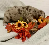 processed/0fc0824f-b8ad-49a4-9390-b37cbbfe9e71/listing/9ff2f0de-dcf6-4e8c-b1e9-6cee0dc55fdd/decb4f28-b876-4c74-8a61-a8617ce8ba22