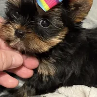 processed/0fc213c2-2591-49d9-a0cf-c2cb164f5be8/facility/165c8ea4-063b-4f16-bb0a-1238ee0ada2f