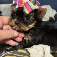 processed/0fc213c2-2591-49d9-a0cf-c2cb164f5be8/facility/b151e855-333c-486b-bec5-344bd7b024c8