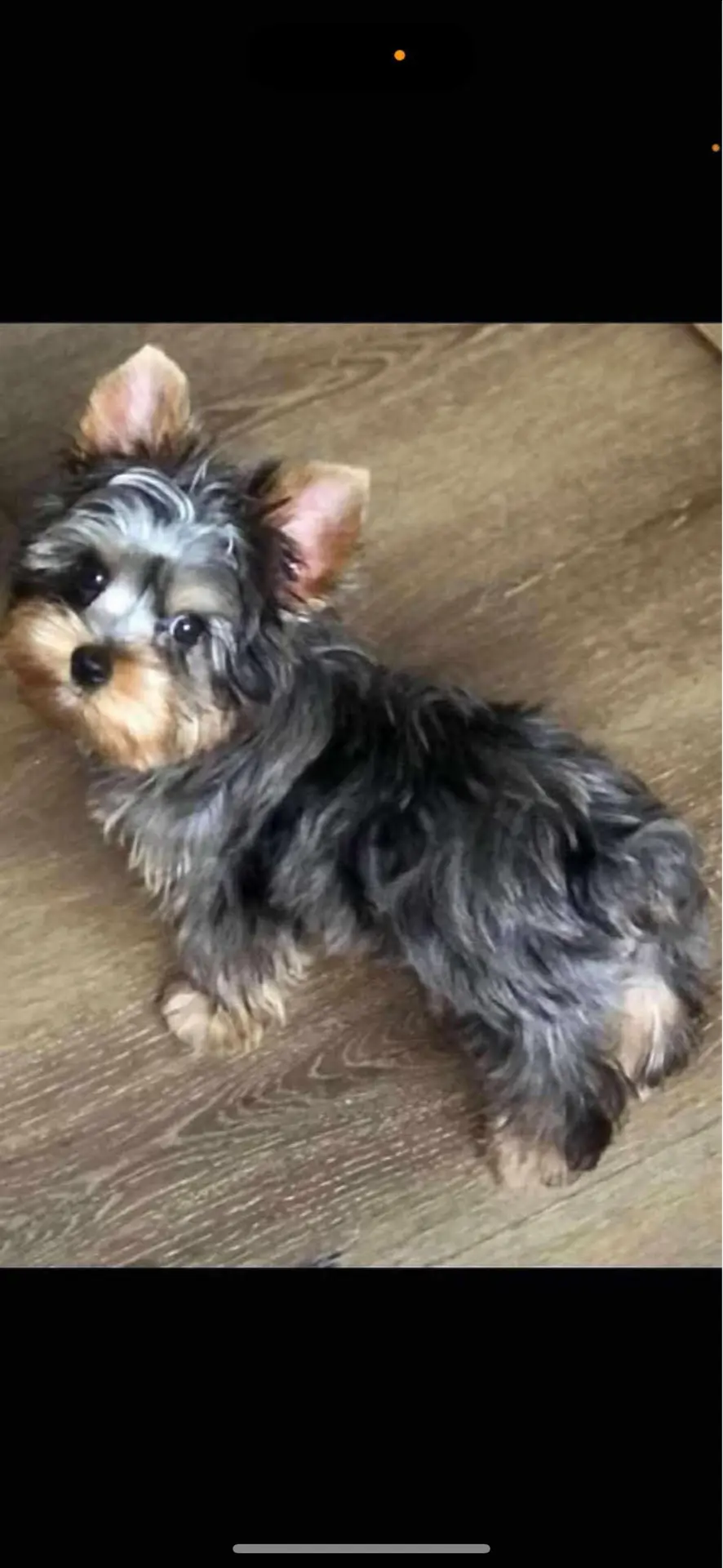 processed/0fc213c2-2591-49d9-a0cf-c2cb164f5be8/listing/4fe6b8a2-1bc8-4678-b1df-f18cf6450bd1/1f9bfad9-97de-4075-87cc-a2f04021423d