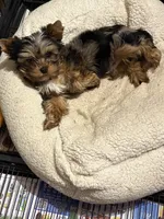 processed/0fc213c2-2591-49d9-a0cf-c2cb164f5be8/listing/4fe6b8a2-1bc8-4678-b1df-f18cf6450bd1/60770ddf-3265-4308-98c6-65a0897498ec