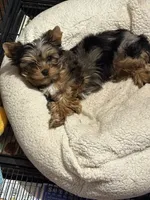 processed/0fc213c2-2591-49d9-a0cf-c2cb164f5be8/listing/4fe6b8a2-1bc8-4678-b1df-f18cf6450bd1/8769bc4d-b162-4dc6-b96a-ddaca4d021b8