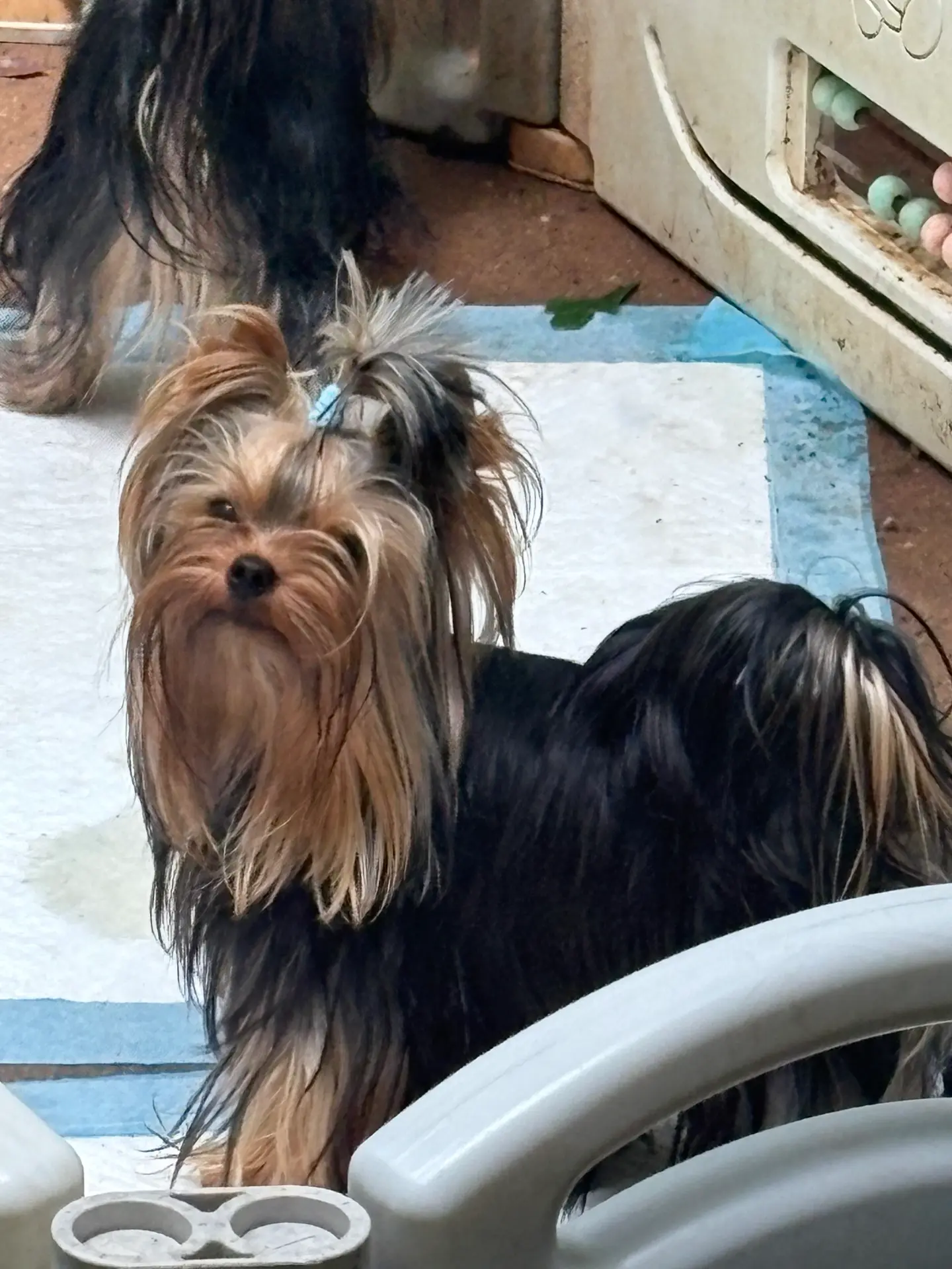 processed/0fc213c2-2591-49d9-a0cf-c2cb164f5be8/listing/4fe6b8a2-1bc8-4678-b1df-f18cf6450bd1/951d8430-7822-49af-8c18-f9447c63e9bd