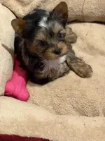 processed/0fc213c2-2591-49d9-a0cf-c2cb164f5be8/listing/4fe6b8a2-1bc8-4678-b1df-f18cf6450bd1/a8404eca-9015-4120-a4b1-923335de02e9