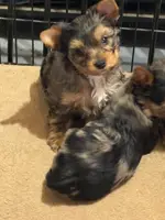 processed/0fc213c2-2591-49d9-a0cf-c2cb164f5be8/listing/4fe6b8a2-1bc8-4678-b1df-f18cf6450bd1/b811b53b-7fe5-42a2-bc8a-51f79e6ef4ef