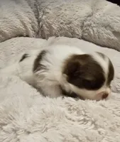 processed/0fc693c1-c7a6-4c40-8a65-1ec2aec32b81/listing/8cba9e62-b191-4007-9331-561220fe877a/2e87c9a0-ae63-4b4f-be02-e41503f6719e