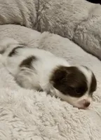 processed/0fc693c1-c7a6-4c40-8a65-1ec2aec32b81/listing/8cba9e62-b191-4007-9331-561220fe877a/4a174a35-8b99-4b9f-b4d4-3e7080f0ba32