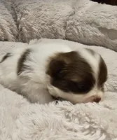 processed/0fc693c1-c7a6-4c40-8a65-1ec2aec32b81/listing/8cba9e62-b191-4007-9331-561220fe877a/93050c09-4053-4d27-93e2-e57dcb72e580