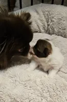 processed/0fc693c1-c7a6-4c40-8a65-1ec2aec32b81/listing/8cba9e62-b191-4007-9331-561220fe877a/a0afcbc9-ac54-46d4-ac65-8bce1f0c7a09