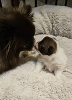 processed/0fc693c1-c7a6-4c40-8a65-1ec2aec32b81/listing/8cba9e62-b191-4007-9331-561220fe877a/cdcdbe89-8128-49c7-9672-4d88b84c93aa