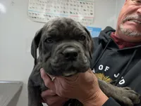 processed/0fcbdee8-ffba-433b-9f79-3bb2217f650b/listing/0da9b9e0-922b-4904-9f5e-e52c108f9353/a585cf1e-c572-4da8-a5ae-640a2ed20f07