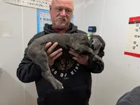 processed/0fcbdee8-ffba-433b-9f79-3bb2217f650b/listing/0da9b9e0-922b-4904-9f5e-e52c108f9353/add8cf8a-15e2-40b1-b5c4-073f275c92b7