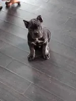 processed/0fcbdee8-ffba-433b-9f79-3bb2217f650b/listing/0da9b9e0-922b-4904-9f5e-e52c108f9353/e0f45b4f-8a1e-4bae-a409-0cfad2def5f9