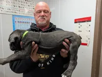 processed/0fcbdee8-ffba-433b-9f79-3bb2217f650b/listing/0da9b9e0-922b-4904-9f5e-e52c108f9353/f5b00f73-484f-41e0-a6ba-4fa3e6b9181d