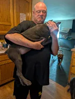 Ms Athena, a female Cane Corso for sale in Clinton, MO – 2 of 6