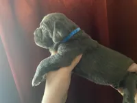 processed/0fce1801-ef67-41e7-9b07-72f7789fd416/listing/f0f3c35f-3506-4545-9a3f-37e97fdc0020/6f9b8743-bb09-4edd-bda8-cbf26ce294f9