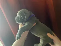 processed/0fce1801-ef67-41e7-9b07-72f7789fd416/listing/f0f3c35f-3506-4545-9a3f-37e97fdc0020/9a3d013b-b005-4e91-8059-ee9295e0afef