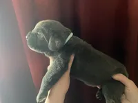 processed/0fce1801-ef67-41e7-9b07-72f7789fd416/listing/f0f3c35f-3506-4545-9a3f-37e97fdc0020/a2a2ab9e-2f5a-4b90-8ff4-58369fbe1828