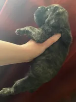 processed/0fce1801-ef67-41e7-9b07-72f7789fd416/listing/f0f3c35f-3506-4545-9a3f-37e97fdc0020/dd850d00-0415-400e-ba6c-a46b91e6d602