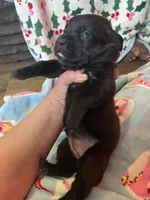 processed/0fce1801-ef67-41e7-9b07-72f7789fd416/listing/f1a55ad7-f91c-49c0-b631-512e64952267/69b32752-ce7a-4f18-839f-aad706e7ece0