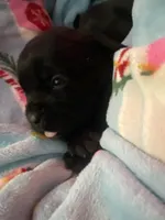 processed/0fce1801-ef67-41e7-9b07-72f7789fd416/listing/f1a55ad7-f91c-49c0-b631-512e64952267/c92257c5-b25f-4f3e-9717-a69e36b448b2