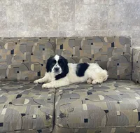 processed/0fd1ab43-0691-4e64-b0ed-8da7b3b25378/listing/5ef0570a-b1aa-43ea-a4f4-2cfdf41d5d46/287163b0-baa4-4f97-a30e-70cd51bc4ede