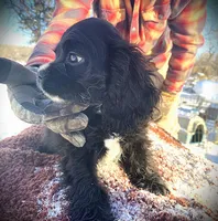 processed/0fd3e535-8fd1-4416-baf1-626b16fee227/listing/1e7d4627-5314-44e0-b910-e3290e48ee04/06be1316-3454-4dc1-af7a-c4b91bd54d6b