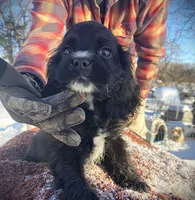 processed/0fd3e535-8fd1-4416-baf1-626b16fee227/listing/1e7d4627-5314-44e0-b910-e3290e48ee04/5f15bd6d-7b8c-4596-8bf8-0f6b75dbb9fe