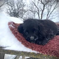 processed/0fd3e535-8fd1-4416-baf1-626b16fee227/listing/1e7d4627-5314-44e0-b910-e3290e48ee04/729cff1b-ddcd-4df1-b09d-3ff983c98c63