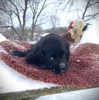 processed/0fd3e535-8fd1-4416-baf1-626b16fee227/listing/1e7d4627-5314-44e0-b910-e3290e48ee04/9dd5670a-f22f-4c72-a155-773bde017c15