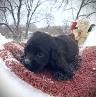 processed/0fd3e535-8fd1-4416-baf1-626b16fee227/listing/1e7d4627-5314-44e0-b910-e3290e48ee04/f3905a24-c31d-4b72-80da-e25583110a46