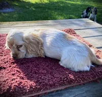 processed/0fd3e535-8fd1-4416-baf1-626b16fee227/listing/1e92eff1-20a2-4961-b386-08f1e3b06f68/81e851f9-39fc-4a85-8a23-2225e374e53d