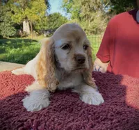 processed/0fd3e535-8fd1-4416-baf1-626b16fee227/listing/1e92eff1-20a2-4961-b386-08f1e3b06f68/bb31c970-5ed4-46d3-a664-4d1d8c43c9cc