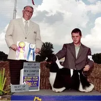 Buff/wht Roan Male, a male Cocker Spaniel for sale in Brainerd, MN – Photo 4 of 5