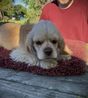 processed/0fd3e535-8fd1-4416-baf1-626b16fee227/listing/2e355cd4-29e2-4e70-9e3e-d6aa8ca75cd4/1c2408b6-b66f-4dab-ba61-f49915c69769