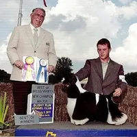 Buff Male, a male Cocker Spaniel for sale in Brainerd, MN – Photo 7 of 8