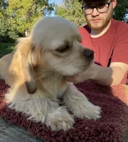 processed/0fd3e535-8fd1-4416-baf1-626b16fee227/listing/2e355cd4-29e2-4e70-9e3e-d6aa8ca75cd4/7b407bd1-6c18-4783-9158-5fb05d9eb02a